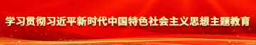 逼怎么操学习贯彻习近平新时代中国特色社会主义思想主题教育